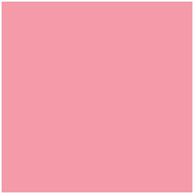 Cricut Infusible Ink 12in x 12in Transfer Sheets Rose Pink | 2 Sheets
